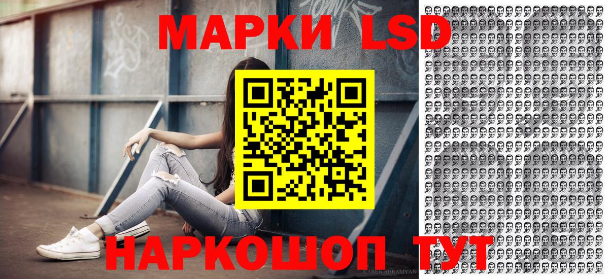 Псилоцибиновые грибы Карачаевск